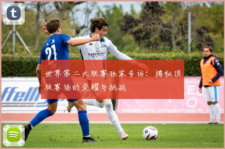 世界第二大联赛独家专访：揭秘顶级赛场的荣耀与挑战