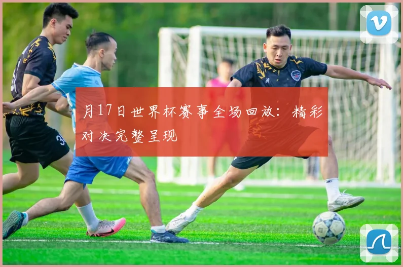 月17日世界杯赛事全场回放：精彩对决完整呈现