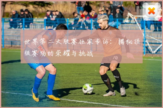 世界第二大联赛独家专访:揭秘顶级赛场的荣耀与挑战
